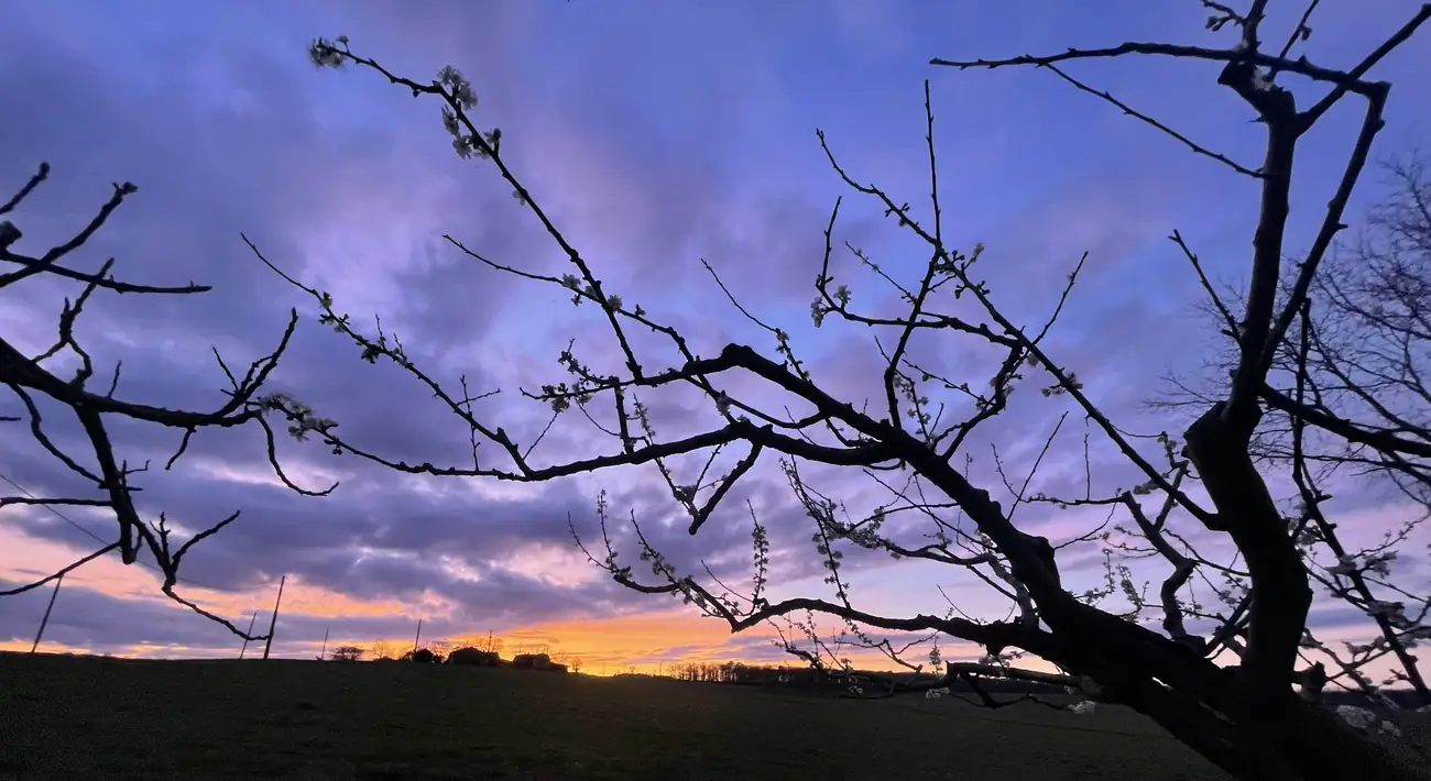 Coucher de soleil dans la campagne gersoise