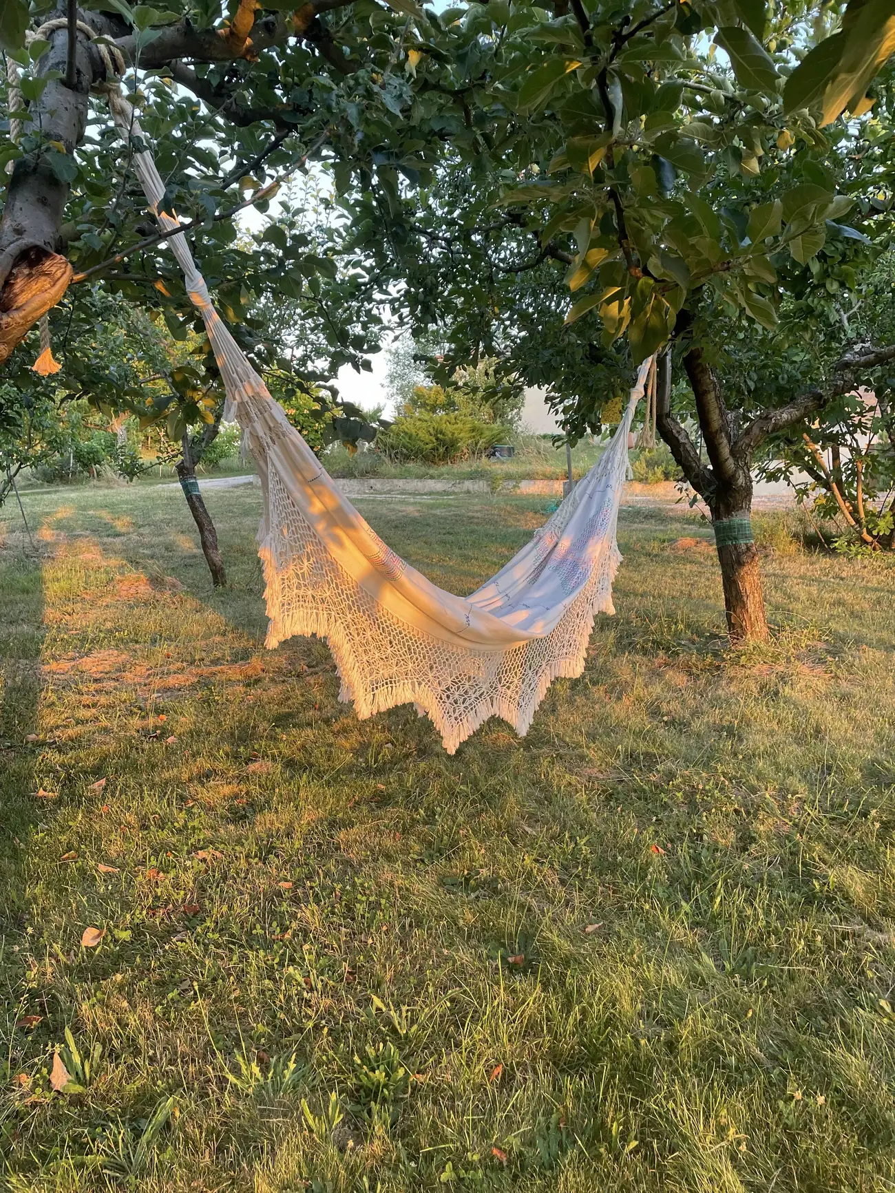 Hamac dans le jardin calme de la propriété